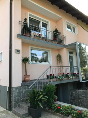 Отель Apartment Drava  Марибор